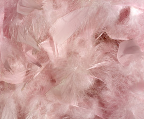fluffy pink feather background