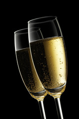 champagne