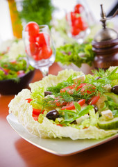 Fresh vegetable salad with tomato and cucumber