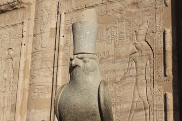 temple d 'edfou faucon horus egypte - obrazy, fototapety, plakaty