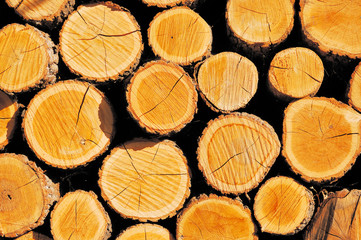 Pile of wooden logs