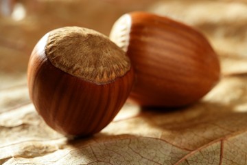 Delicious hazelnuts, macro detail, warm golden light