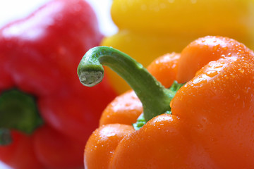 bright salad