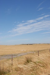 Fototapeta premium L'outback en Australie