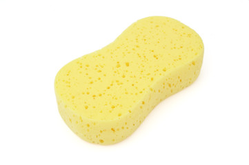sponge new