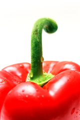 Roter Paprika / Ausschnitt