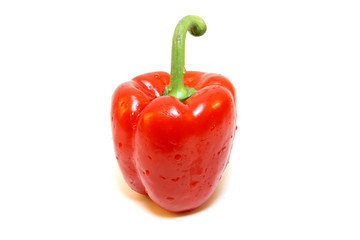 Frischer roter Paprika