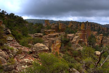 Chiricahua Mountains