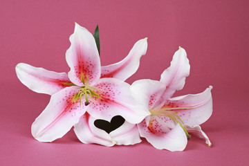 Fototapeta na wymiar lilies
