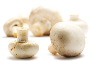 Champignons