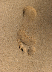 footprint in sand on the beach