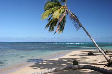 Bonita beach, Las Terrenas, Dominican Republic