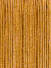 Tree an oak internal a structure