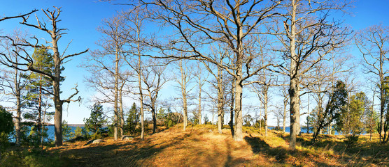 Schärenlandschaft in Schweden
