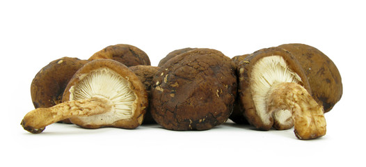Shiitake mushrooms