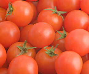 Pile of tomatoes