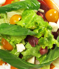 Salad - Smoked Duck Breast with Red Sauce