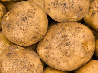 Potato an abstract background