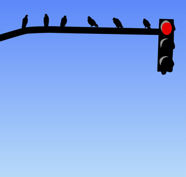 Sem&aacute;foro y p&aacute;jaros