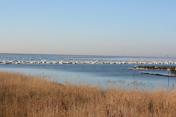 Fototapeta na wymiar Nordsee im Winter