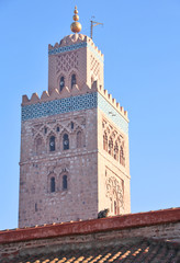 Mosque in Marrakesh and cat basking in the morning sun