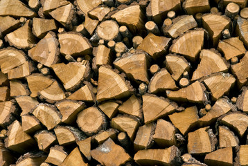 Brennholz