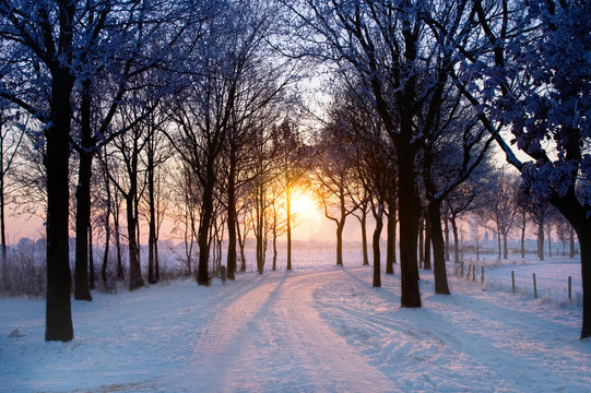 winter sunset