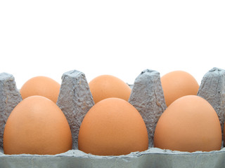 eggs in a carton on white background