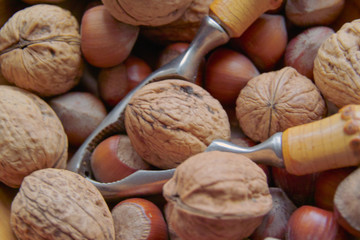 Nüsse