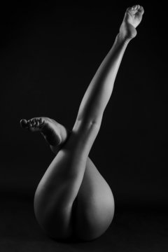 Nudit&eacute; artistique