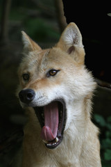 Obraz premium Stillgestanden