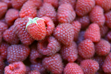 raspberries