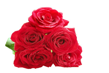 Red roses
