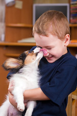 Puppy licking childs face