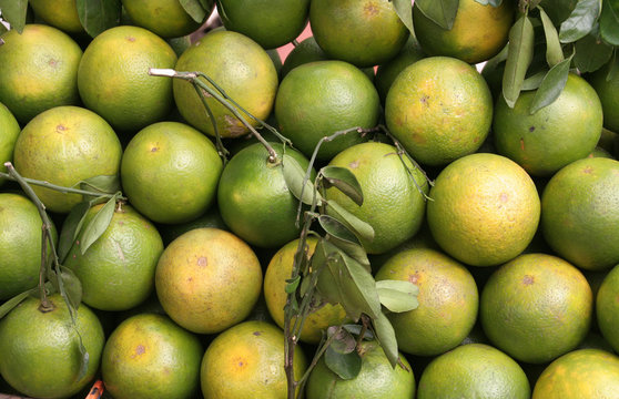 Lemonen