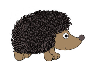 Hedgehog - Isolated On White