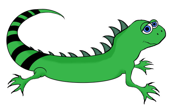 Iguana Cartoon - Isolated On White