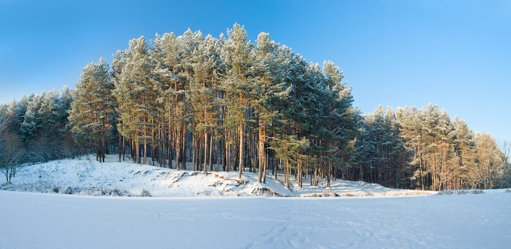 Fototapeta winter landscape