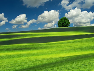 Fototapeta premium Clouds over the empty field