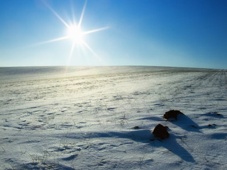 Sunshine in a frosty land