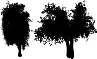 2 vector trees