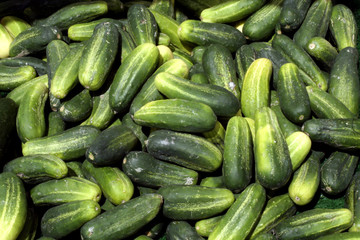 Cucumbers