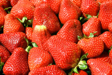 Fresh Strawberries