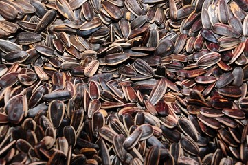 dried sun flower seed in the store