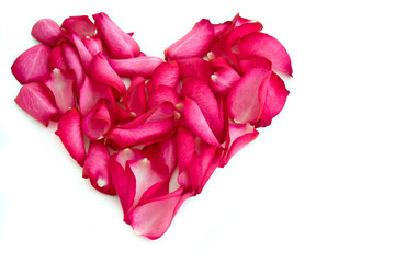 heart made of rose petals on white background