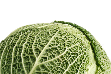 Fototapeta premium Fresh cabbage