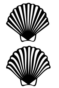 A scallop shell tribal tattoo