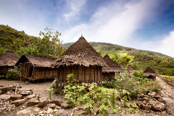 Fototapeta na wymiar Traditional Village
