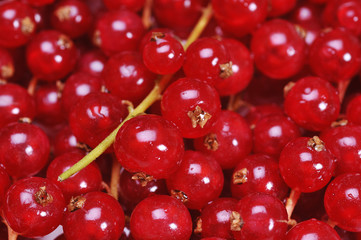 Red currants