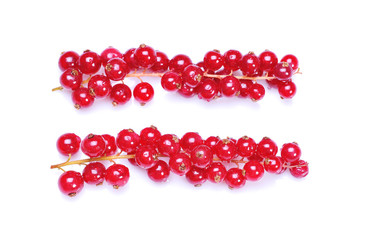 Red currant